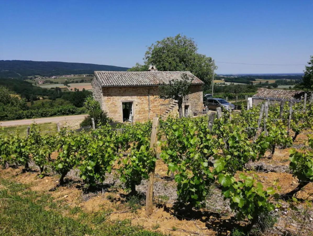 La Cadole du Vigneron, une semaine de sérénité Tournus Exterior foto
