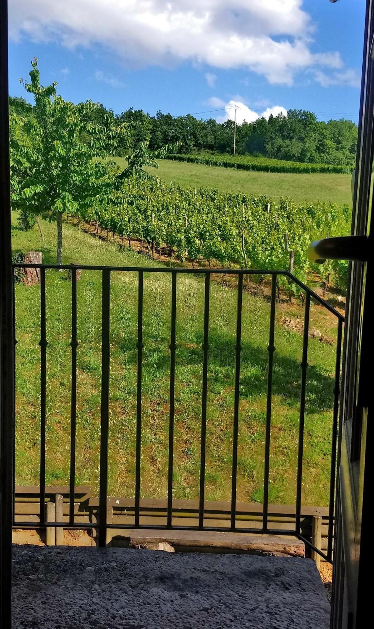 La Cadole du Vigneron, une semaine de sérénité Tournus Exterior foto