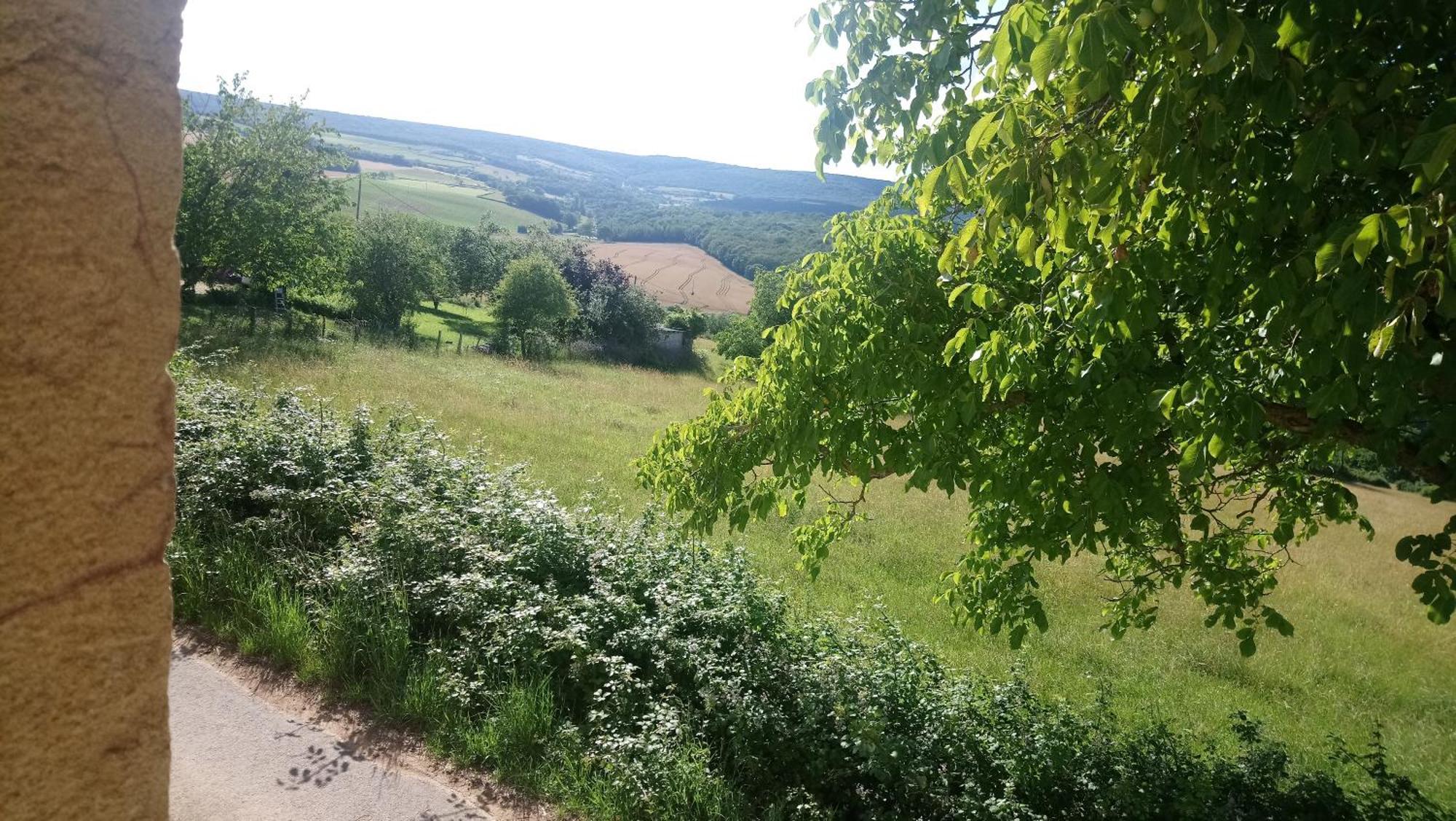 La Cadole du Vigneron, une semaine de sérénité Tournus Exterior foto